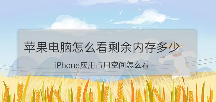 苹果电脑怎么看剩余内存多少 iPhone应用占用空间怎么看？